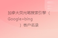 加拿大荧光笔搜索引擎（google bing）客户名录