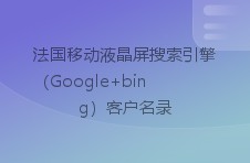 法国移动液晶屏搜索引擎（google bing）客户名录