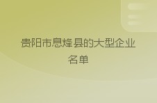 贵阳市息烽县的大型企业名单