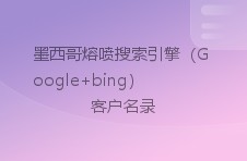 墨西哥熔喷搜索引擎（google bing）客户名录