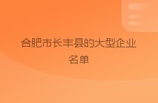 合肥市长丰县的大型企业名单