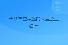 长沙市望城区的大型企业名单