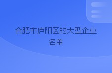 合肥市庐阳区的大型企业名单