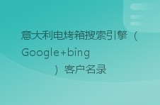 意大利电烤箱搜索引擎（google bing）客户名录